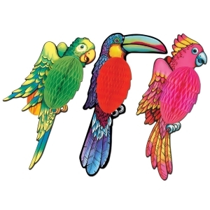 Club Pack of 12 Vibrant Tissue Exotic Bird Decorations 17 - All