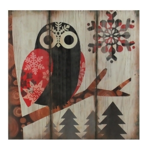 13.75 Alpine Chic Wide Eyed Owl in Woods with Snowflakes Wall Art Plaque - All