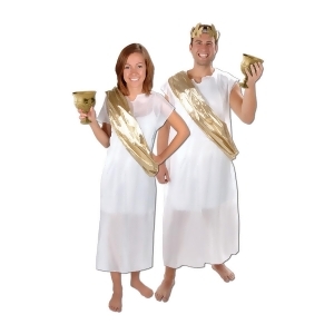 Italian Ancient Roman Inspired White and Gold Toga and Sash Costume Accessories - All