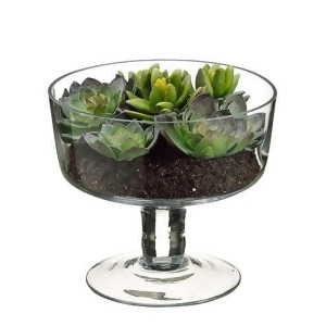 6.75 Artificial Spring Succulent Garden in Decorative Clear Glass Vase - All