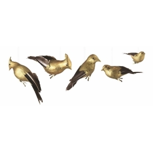 Set of 5 Luxury Lodge Brown and Gold Gilded Birds Clip-On Christmas Ornaments 8.25 - All