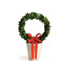 15 Preserved Boxwood Evergreen Wreath in Decorative Cream Planter Pot - All