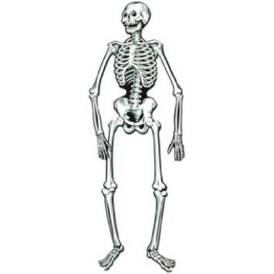 Club Pack of 48 White and Black Jointed Skeleton Halloween Hanging Decorations 22 - All