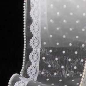 Shimmering Pearl and White Sheer Dots Lace Wired Craft Ribbon 4 x 20 Yards - All