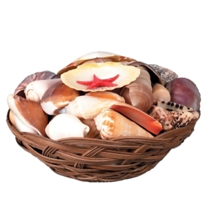 Pack of 6 Seashell Wicker Basket Luau Party Decorations 6.5'' - All