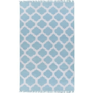 2' x 3' Imperial Fashions Ice Blue and Floral White Hand Woven Area Throw Rug - All