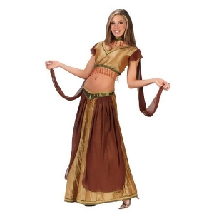Sexy Belly Dancer Women's Halloween Costume Size Medium/Large 10-14 #5066 - All