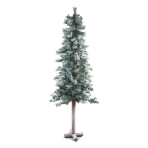 5' x 28 Frosted and Glittered Woodland Alpine Artificial Christmas Tree Unlit - All