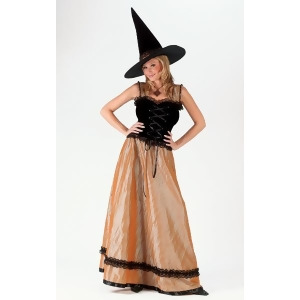 Elegant Witch Women's Halloween Costume Size Small/Medium 2-8 #5168 - All