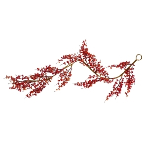 5' Vibrant Wild Fall Berry Artificial Decorative Christmas Garland Unlit - All
