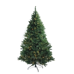 7.5' x 55 Pre-Lit Buffalo Fir Medium Artificial Christmas Tree Warm White Led Lights - All