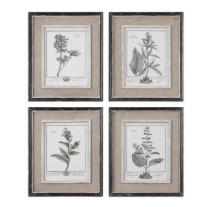 Set of 4 Framed Gray Botanical Flower Study Prints Wall Art 18 - All