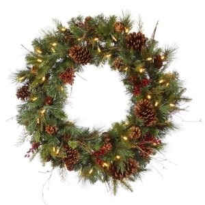 36 Pre-lit Cibola Mix Berry Pine Artificial Christmas Wreath Warm Clear Led Lights - All