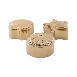 Set of 3 Shimmering Gold Ceramic Shell Boxes with Lids 5 - All