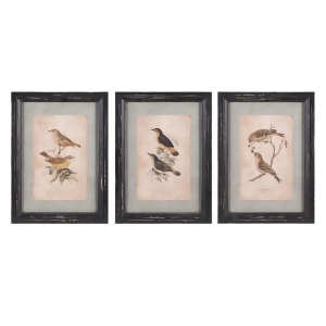 Set of 3 Birds of a Feather Rectangular Bird Wall Decor 17.5 - All