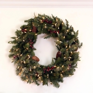 30 Pre-Lit Slightly Frosted Edina Fir Artificial Christmas Wreath Clear Lights - All