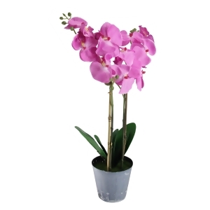 20 Potted Pink Phalaenopsis Orchid Artificial Silk Flower Plant - All