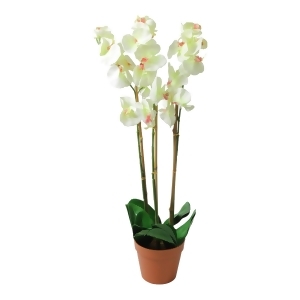 30.5 Potted White Phalaenopsis Orchid Artificial Silk Flower Plant - All