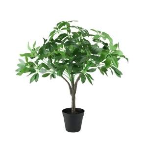 23 Artificial Schefflera Arboricola Potted Umbrella Tree - All