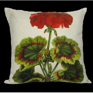 Decorative Red Spring Geranium with Multi Colored Leaves Throw Pillow 18 - All