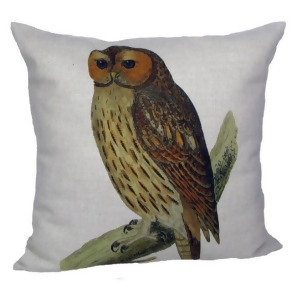 Vintage Springtime Owl Antique Style Decorative Accent Throw Pillow Cover 18 - All