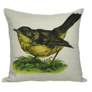 Vintage Springtime Wren Bird Antique Style Decorative Accent Throw Pillow with Insert 18 - All