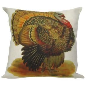 Vintage Autumnal Turkey Antique Style Decorative Accent Throw Pillow with Insert 18 - All