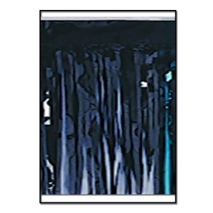 Pack of 6 Black Metallic 2-Ply Hanging Fringe Drape Streamer Party Decorations 10' - All