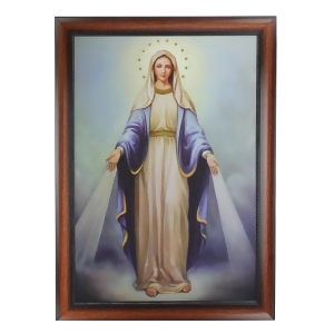 28 Decorative Framed Our Lady of Grace Religious Cultural Picture - All