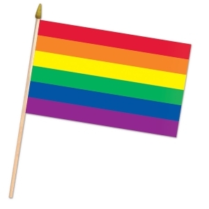 Club Pack of 12 Colors of the Rainbow Spring and Summer Decorative Flag 22 - All