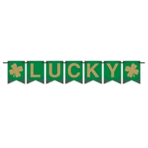 Pack of 12 Lucky Pennant Banners St. Patrick's Day Decorations 6' - All