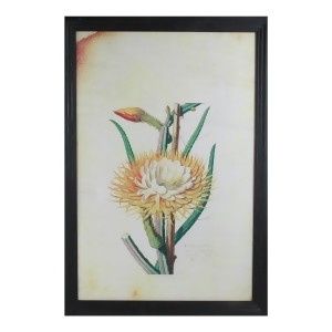 26 Yellow and Green Desert Baileya Flower with Black Photo Frame - All