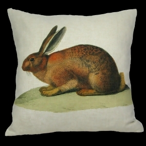 Darling Brown Bunny Decorative Throw Pillow with Off White Background 18. - All