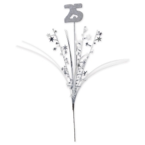Pack of 12 Silver Glittered '25' Metallic Star Anniversary Themed Spray 23 - All