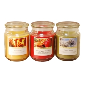 Pack of 3 Brown and Red Scented Decorative Candles in Mason Jars 18oz - All
