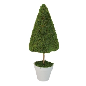 20.5 Green Reindeer Moss Potted Artificial Spring Floral Topiary Tree - All