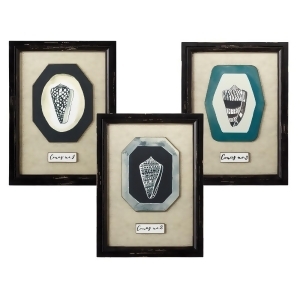Set of 3 Distressed Black Decorative Hanging Framed Different Conus Shell Wall Art 18.75 - All
