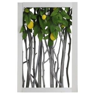 18.5 White Birch Branch Lemon Tree Rustic Wooden Frame Decoration - All