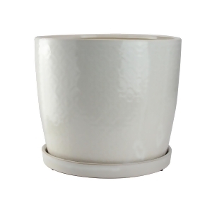 11.5 Beige and Off-White Decorative Ceramic Floral Garden Dish Planter - All