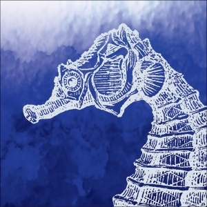 Club Pack of 288 Blue and White Marine Seahorse Themed 3-Ply Disposable Beverage Napkin 5 - All