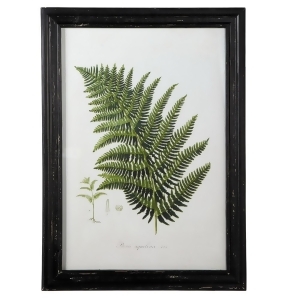 22 Green and Black Decorative Fern Botanical Wall Decor with Glass - All