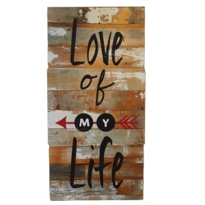 Set of 2 Brown Distressed Finish Decorative Love of My Life Wall Art 28.375 - All