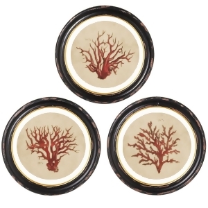 Set of 3 Black and Brown Assorted Round Framed Coral Wall Decor with Glass 15 - All