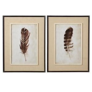 Set of 2 Sepia Brown Feather Art Pictured Wooden Framed Wall Decor with Glass 24 - All