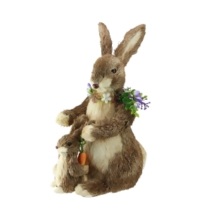15.5 Bunny Mom and Son with Flower Necklace and Carrot Figures - All