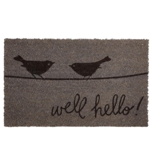 Set of 2 Tan and Chocolate Brown Well Hello with Birds on Wire Welcome Door Mats 30 - All