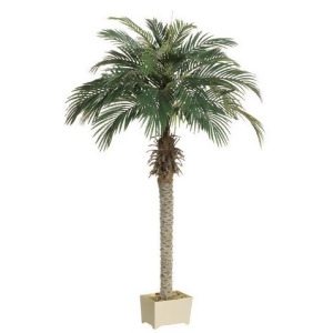 Set of 2 Potted Artificial Silk Phoenix Palm Trees 6' - All