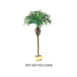 Set of 2 Artificial Phoenix Palm Trees 6' - All