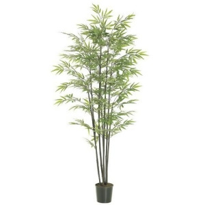 Set of 2 Artificial Potted Black Bamboo Trees 6' - All