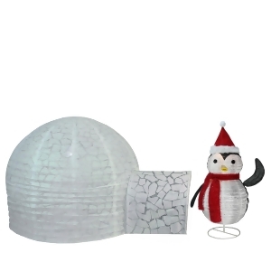 Set of 2 Pre-Lit Penguin and Igloo Outdoor Christmas Outdoor Decoration 45 - All